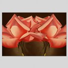 Oil Paintings Floral Style Canvas Material With Wooden Stretcher Ready To Hang Size60*90CM .