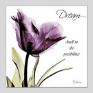 Oil Paintings Flower Style Canvas Material With Wooden Stretcher Ready To Hang Size60*60CM and 70*