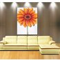 Oil Paintings Flower Style Canvas Material With Wooden Stretcher Ready To Hang Size60*90CM and 50*