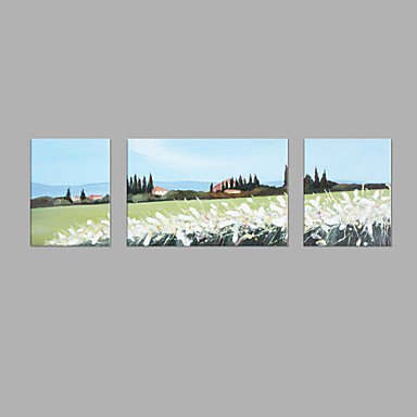 IARTS Hand Painted Modern Abstract Oil Painting Vintage Summer Country Cottage & White Wildflower