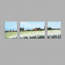IARTS Hand Painted Modern Abstract Oil Painting Vintage Summer Country Cottage & White Wildflower
