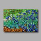 Hand-Painted Abstract Oil Painting Canvas Van Gogh repro Blue Irises Field Home Deco one Panel