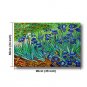 Hand-Painted Abstract Oil Painting Canvas Van Gogh repro Blue Irises Field Home Deco one Panel