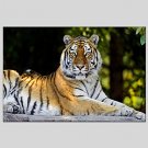 Oil Painting Tiger Style  Canvas Material with Stretched Frame Ready To Hang SIZE60*90CM.