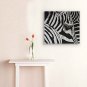 IARTS Hand-Painted Animal Black and White Zebra One Panel Canvas Oil Painting For Home Decoration