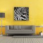 IARTS Hand-Painted Animal Black and White Zebra One Panel Canvas Oil Painting For Home Decoration