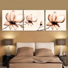 Prints Poster Wall Painting Colorful Flower Home Decorative  Pictures Print On Canvas  3pcs/set (W