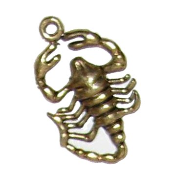 6 Antique Brass Scorpion Charms - Scorpions