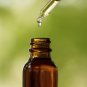 Ambrosial labyrinth Aroma Oil 100% Pure Organic Natural