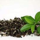 Green Tea Aroma Oil by Ambrosial 100% Pure Concentrate