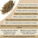 Ambrosial Caraway Essential Oil Pure Natural Organic Uncut Undiluted