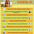 Ambrosial Pine Essential Oil 100% Pure Organic Natural