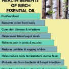 Ambrosial Birch Essential  Oil 100% Pure Organic Natural