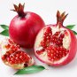 Ambrosial Pomegranate Seed Oil (Punica granatum) 100% Natural 10ml to 1000ml