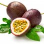 Ambrosial Passion Fruit Essential Oil Pure Natural Organic 10ml to 1000ml