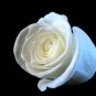 White Rose Aroma Oil by Ambrosial 100% Pure Natural