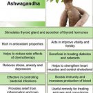 Ambrosial Ashwagandha Essential Oil 100% Pure Organic Natural