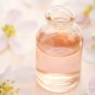 Ambrosial Lavandin Essential Oil Pure Natural Organic 10ml to 1000ml