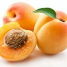 Ambrosial Apricot Essential Oil 100% Pure Organic Natural Uncut 10ml - 1000ml