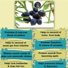 Ambrosial Juniper Oil 100% Pure Organic Natural 10ml to 1000ml