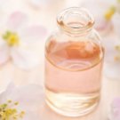 Ambrosial Cajuput Essential Oil Pure Natural Organic
