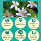 Ambrosial Neroli Oil 100% Pure Organic Natural Uncut Undiluted 10ml to 1000ml