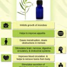 Ambrosial Tarragon Oil 100% Pure Organic Natural Uncut Undiluted 10ml to 1000ml