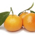 Ambrosial Mandarin Aroma Oil 100% Pure Organic Natural