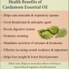 Ambrosial Cardamom Essential Oil 100% Pure Organic Natural