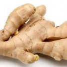 Ambrosial Ginger Essential Oil 100% Pure Organic Natural Uncut 10ml - 1000ml