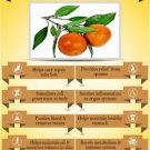 Ambrosial Tangerine Oil 100% Pure Organic Natural Uncut Undiluted 10ml to 1000ml