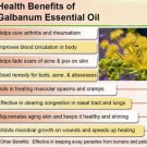 Galbanum Oil 100% Natural by Ambrosial 10 ml to 1000ml