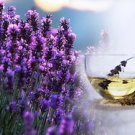 Ambrosial Lavender Essential Oil Pure Natural Organic Stress Free Astringent