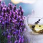 Ambrosial Lavender Essential Oil Pure Natural Organic Stress Free Astringent
