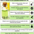 Ambrosial Davana Essential Oil 100% Pure Organic Natural