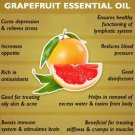 Ambrosial Grapefruit Essential Oil Pure Natural Organic 10ml to 1000ml
