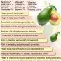 Ambrosial Avocado Essential Oil Pure Natural Organic 10ml to 1000ml