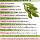 Ambrosial Bay Leaf Essential Oil Pure Natural Organic  10ml to 1000ml