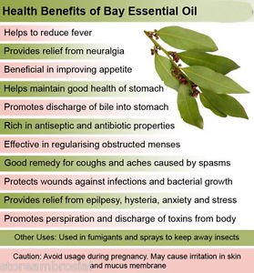Ambrosial Bay Leaf Essential Oil Pure Natural Organic  10ml to 1000ml