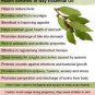 Ambrosial Bay Leaf Essential Oil Pure Natural Organic  10ml to 1000ml