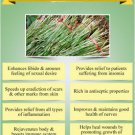 Ambrosial Vetiver Essential Oil 100% Natural Pure Organic Uncut Undiluted