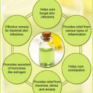 Ambrosial Spikenard Essential Oil 100% Pure Organic Natural