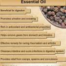 Ambrosial Black Pepper Essential Oil 100% Pure Organic Natural 10ml to 1000ml