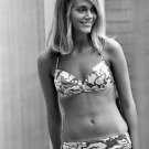 THE MOD SQUAD  PEGGY LIPTON 8x10 TV SHOW Photo