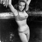 HONOR BLACKMAN GOLDFINGER (BOND GIRL) 8X10 Glossy Photo HONOR BLACKMAN GOLDFINGER (BOND GIRL) 8X10 Glossy Photo