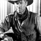 ROBERT REDFORD OUT OF AFRICA 8x10 Photo ROBERT REDFORD OUT OF AFRICA 8x10 Photo
