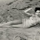 Ann Miller 11x14 Glossy Photo Ann Miller 11x14 Glossy Photo