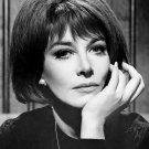 BEAUTIFUL LEE GRANT 8x10 Glossy Photo BEAUTIFUL LEE GRANT 8x10 Glossy Photo