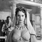 BEAUTIFUL SOPHIA LOREN 8X10 Photo