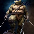 LEONARDO Teenage Mutant Ninja Turtles 11X14 Photo LEONARDO Teenage Mutant Ninja Turtles 11X14 Photo